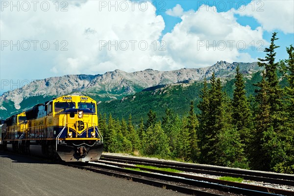 Alaska railroad train, Denali, Alaska, USA