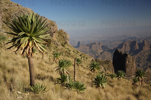 Ethiopia, Africa, Simien, Simien Mountains, National Park, landscape, mountain, mountain range, highlands, World Heritage Site,