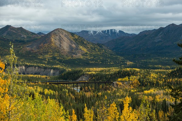 Alaska railroad driving through autumnal landscape, Denali National Park, Alaska