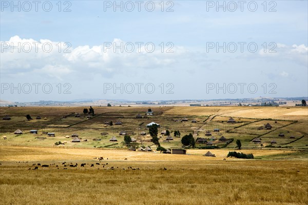 Landscape of rural Ethiopia with Straw huts in an Ethiopian village