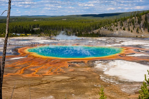 Grand Prismatic Spring, Midway Geyser Basin, Yellowstone National Park, Wyoming, USA