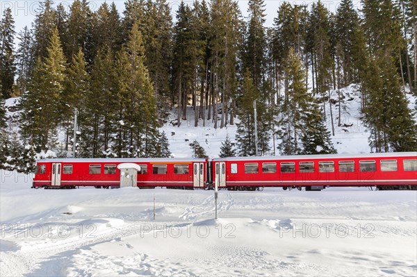 Famous sightseeing train of Rhaetian Railway running in snow, the Glacier Express in winter of Switzerland
