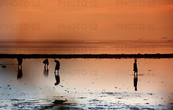 Papua Neu Guinea, New Britain, locals, beach, silhouette, evening light