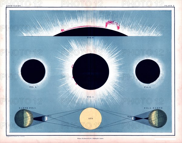 1855 Johnston Total Solar Eclipse Diagram showing solar flares and the sun's aurora