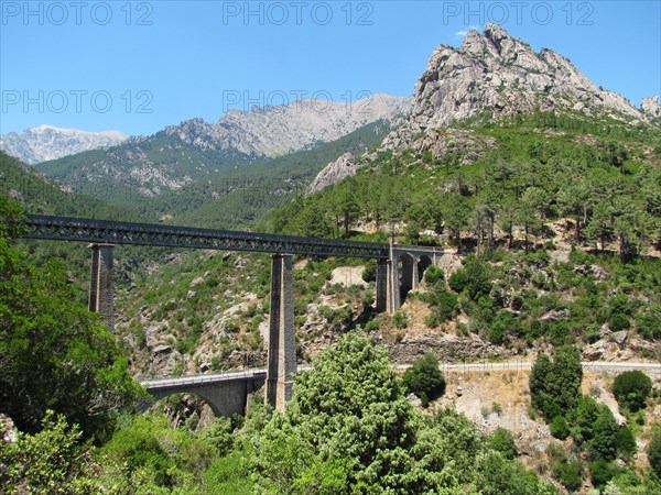 France, Haute Corse, Vivario, Pont du Vecchio (Vechju), railroad bridge designed by architect Gustave Eiffel