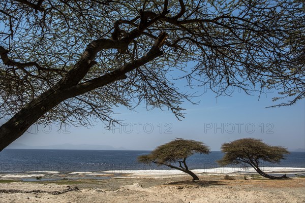 Lake Shalla in the Abijatta-Shalla National Park, Ethiopia.