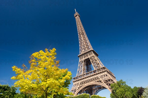 Paris, France - 23 June 2018: Eiffel Tower from the Champ de Mars gardens in summer.