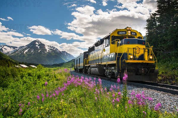 Alaska Railroad Glacier Discovery train trip,  Chugach National Forest, Alaska.