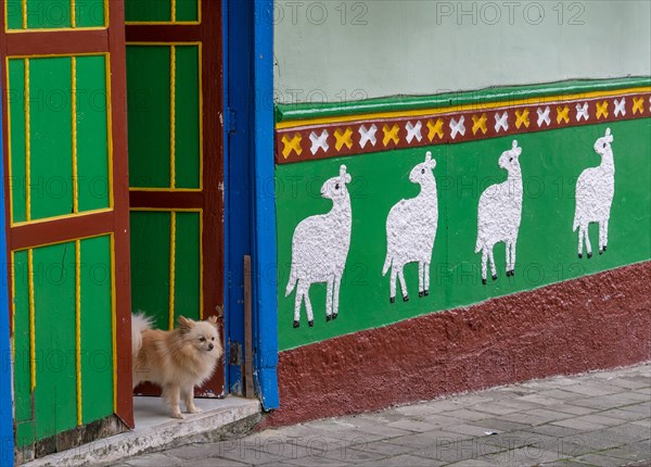 Guatape, Colombia. Typically colourful buildings in Guatape Colombia