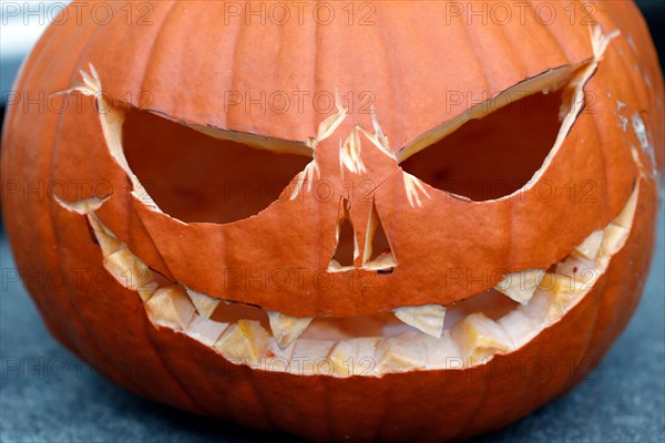 Jack o Lantern carved Halloween pumpkin.  Trondheim. Norway.