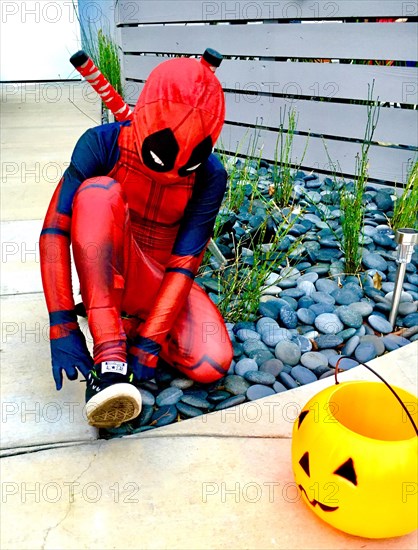 Spider-Man Halloween Costume