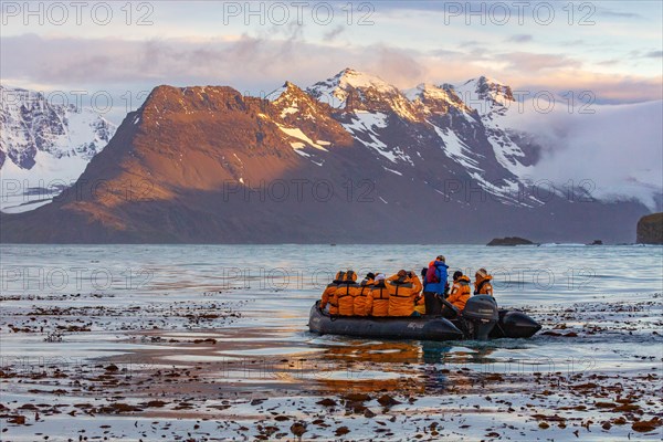 sunset on the snow capped mountains of the bay of isles in south Georgia in the foreground is a zodiac boat from an Antarctic cruise ship