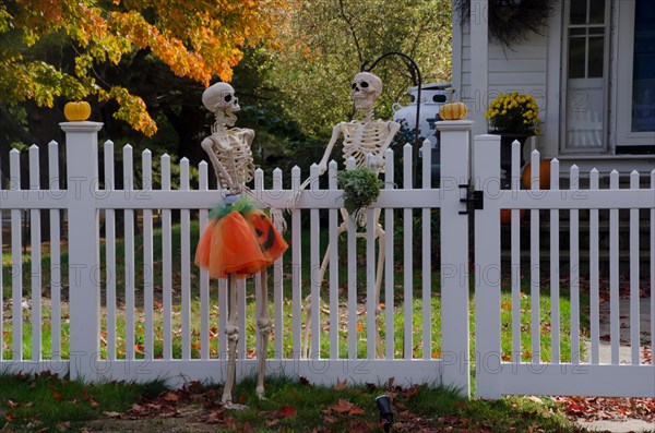 Happy skeleton neighbors talking across the fence dressed up for Halloween, Yarmouth, Maine, USA