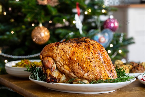 Christmas dinner with roast turkey crown and vegetables