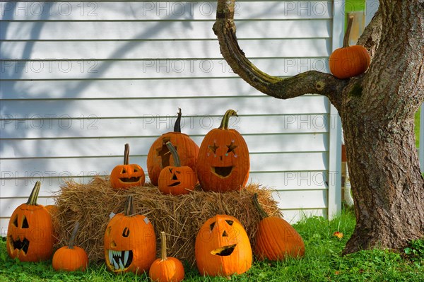 Carved pumpkins under a tree for Halloween decorations in a church yard.