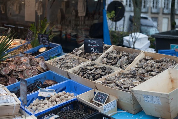 Oysters a French favourite at Christmas time, sold at Alençon market, Orne, Normandie, France