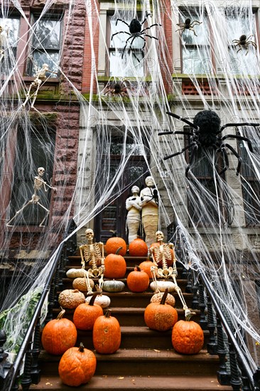 Colorful Pumpkins and Flowers on the Stairs of an Old Brownstone Home in New York City during Autumn