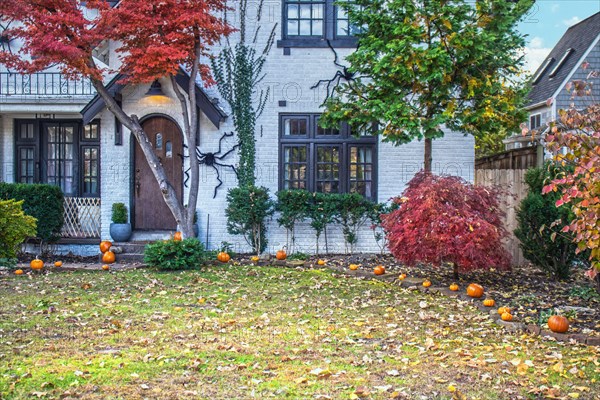 Closeup of entrance to white brick detached house with vinces and autumn maple trees decorated with pumpkins in garden and giant Halloween spiders cra