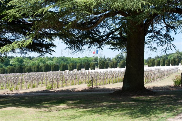 France, Lorraine, Meuse, Verdun, Douaumont Ossuary (L'ossuaire de Douaumont), rows of crosses at war cemetery