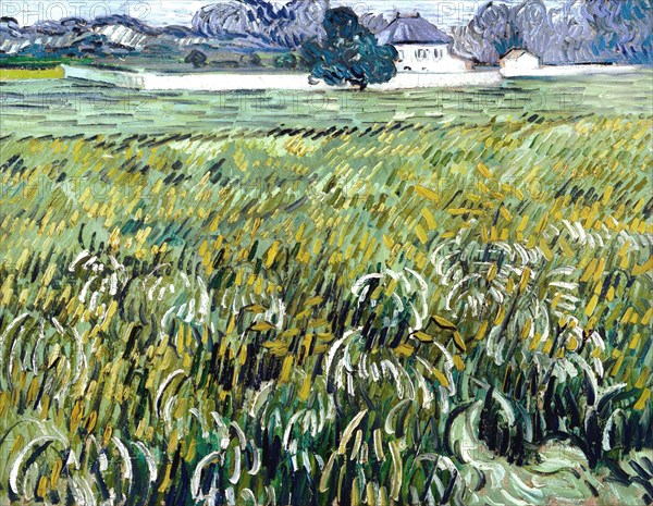 Vincent van Gogh, Wheat Field at Auvers with White House (House at Auvers) 1890. Post-Impressionism. Oil on canvas.