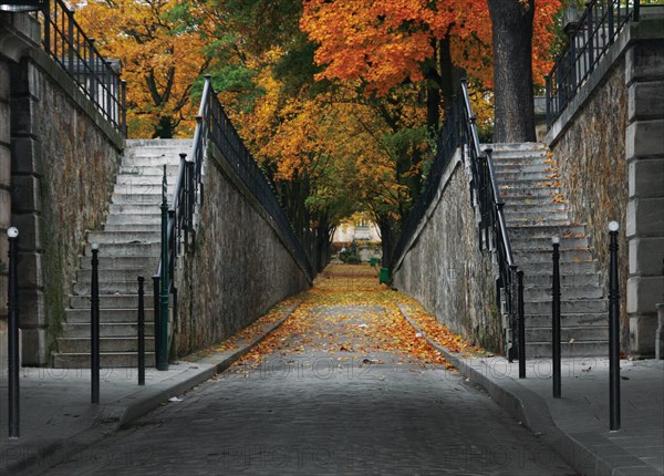 Autumn park with road scenic (perspective alley). Montmartre Cemetery. Paris, France