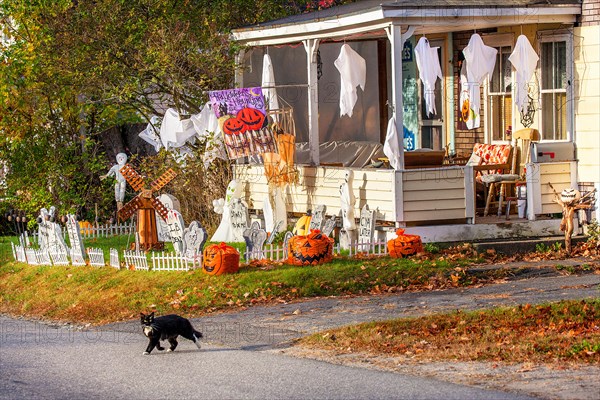 A home is decorated with ghosts, goblins and other Halloween decorations as a black cat crosses the road in Lisbon, NH, USA.