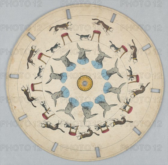 Phenakistiscope Disc with Cats and Donkey. Paper disc with a hole in the center, 10 rectangular perforations evenly spaced along perimeter for viewing.