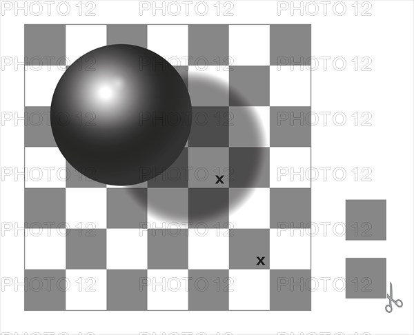 Optical illusion. Checker shadow illusion. The two squares with x mark are the same shade of gray. Cut out the two extra squares, compare and check.