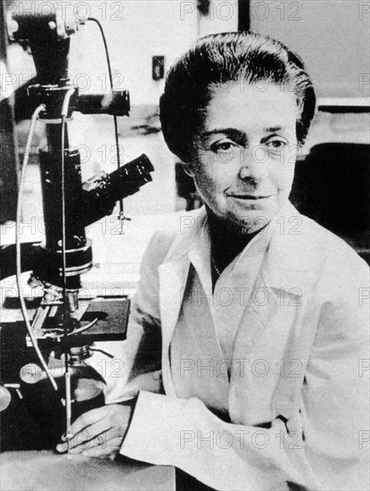 1960's , Washington University , U.S.A. :  RITA  LEVI  MONTALCINI ( Torino 1909 ) , italian neurobiologist , NOBEL Award 1986  - PREMIO NOBEL - LEVI-MONTALCINI  -----  Archivio GBB