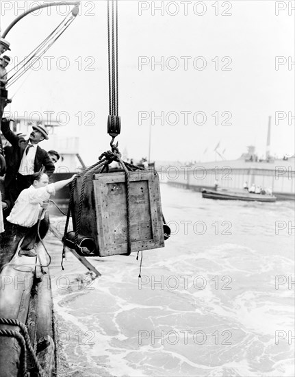 Harry Houdini, Hungarian-American Stunt Performer