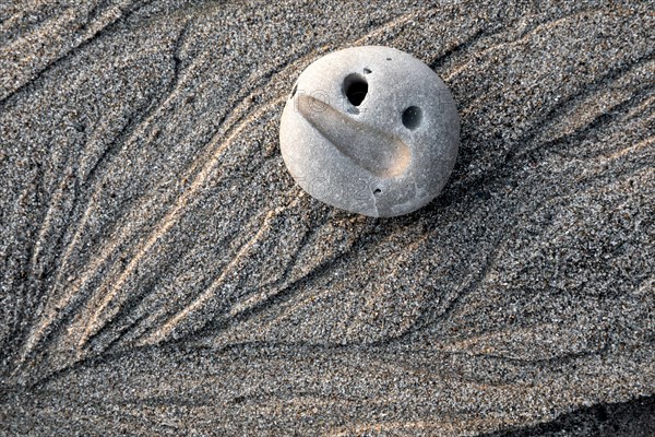 WA20832-00....WASHINGTON  - Beach detail at Mosquito Creek in Olympic National Park. Put on a Happy Face!