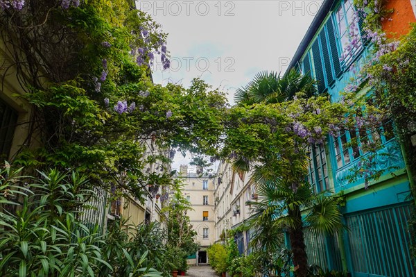 Lush plants, La Cité du Figuier, hidden street in 11th Arrondissement, known as place where metal workers had shops during the 19th century, Paris.