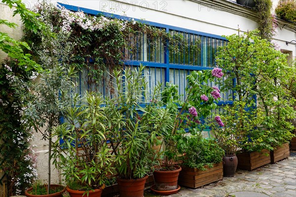 Lush plants, La Cité du Figuier, hidden street in 11th Arrondissement, known as place where metal workers had shops during the 19th century, Paris.