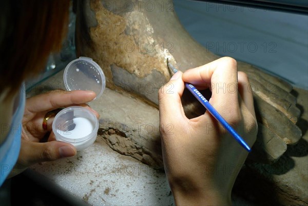 Bildnummer: 60181244  Datum: 18.07.2013  Copyright: imago/XinhuaXI AN, July 18, 2013 -- An archeological worker preserves original embellishment on a piece of terracotta warrior with special chemical method at the Emperor Qinshihuang s Mausoleum Site Museum in Xi an, capital of northwest China s Shaanxi Province, July 18, 2013. The 2,200-year-old mausoleum was discovered in Lintong District, 35 km east of Xi an, in 1974 by peasants who were digging a well. The Chinese terracotta army buried around the mausoleum was one of the greatest archeological finds of modern times. (Xinhua/Jiao Weiping)