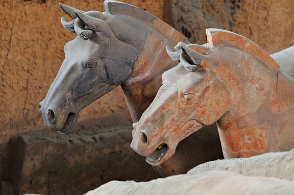 The Terracotta Warriors. Close-up of equestrian heads from the buried funerary army at Xian, Shaanxi province, China.