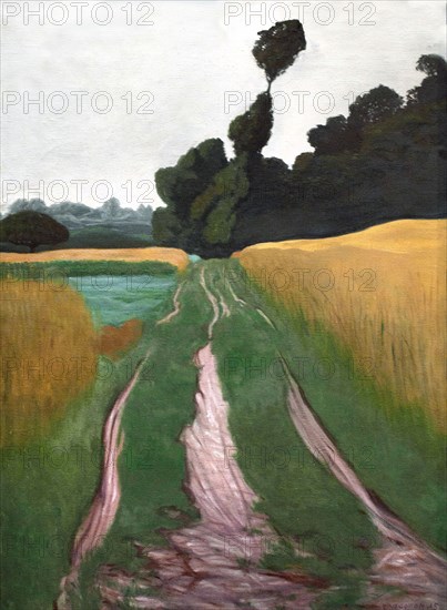 Félix Vallotton
Ecole française
Chemin après la pluie
1915
Huile sur toile
Lyon, musée des Beaux-Arts