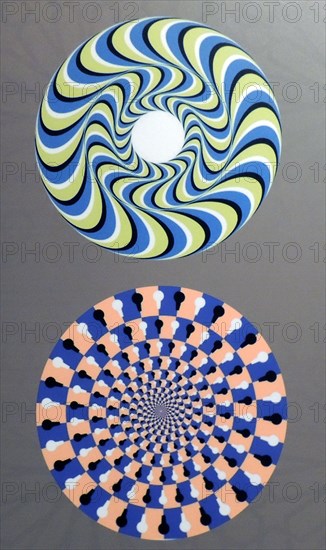 Rotating Snakes optical illusion. we perceive the brightly coloured circles of the image to be in circular motion. perhaps this is due to with microsaccades, or involuntary eye movements, that attempt to “refresh” the view of any object or image that we look at for too long.