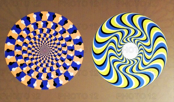 Rotating Snakes optical illusion. we perceive the brightly coloured circles of the image to be in circular motion. perhaps this is due to with microsaccades, or involuntary eye movements, that attempt to “refresh” the view of any object or image that we look at for too long.