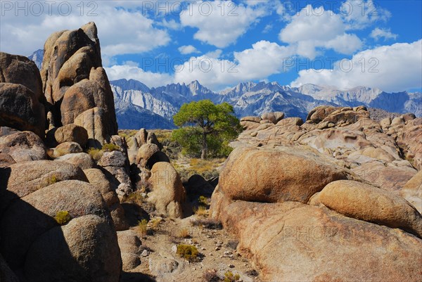 The Alabama Hills with Mount Whitney in the background, Lone Pine, California USA