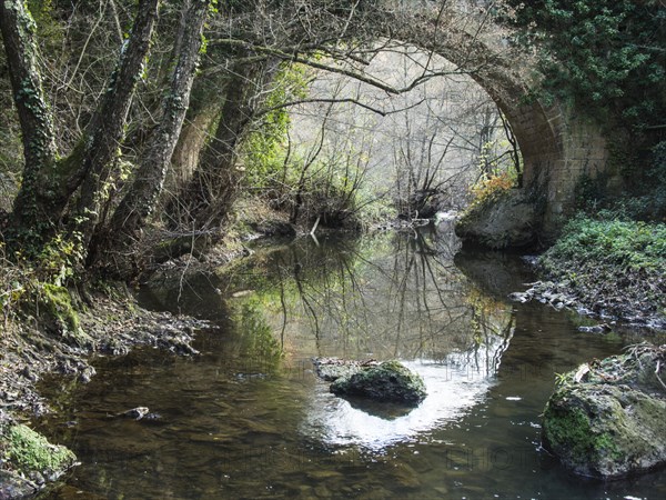 Bridge over quiet waters