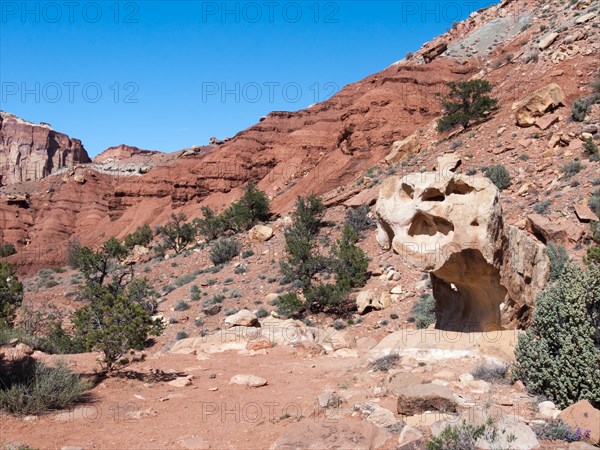 Face-like rock formation at Capitol Reef National Park.