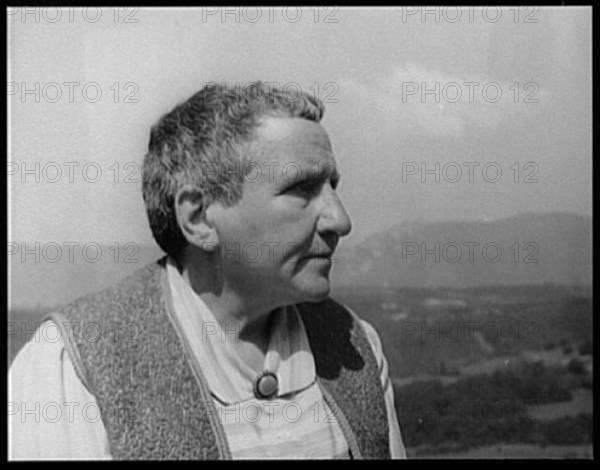 Portrait of Gertrude Stein, Biliguin LCCN2004663587
