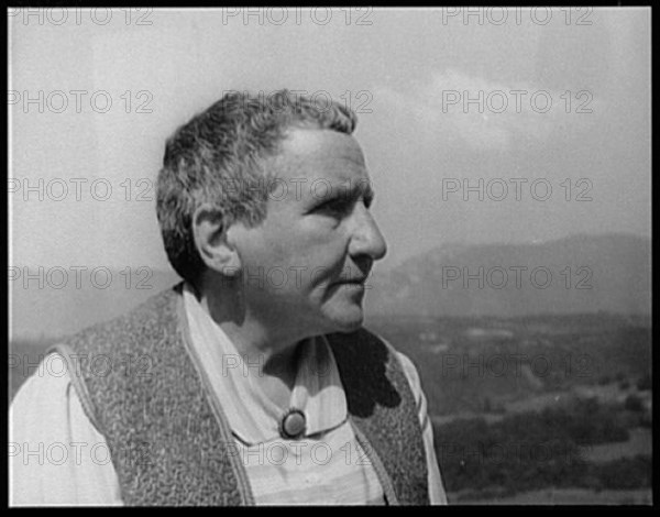 Portrait of Gertrude Stein, Biliguin LCCN2004663587
