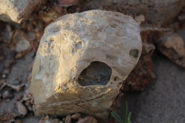 Rock in Spain with a face.