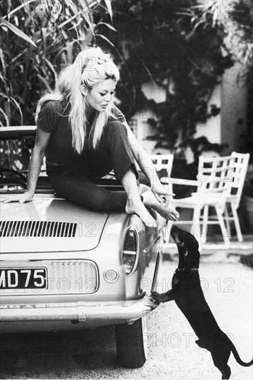 Black & White photography print with an iconic photo of Brigitte Bardot with Dachshund at her villa in St. Tropez, France. 8th October 1962.