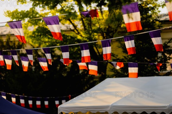 Shallow depth of field (selective focus) details with french flags at a garden party during the France 14th of July National Day.