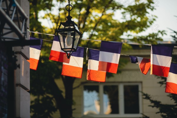 Shallow depth of field (selective focus) details with french flags at a garden party during the France 14th of July National Day.