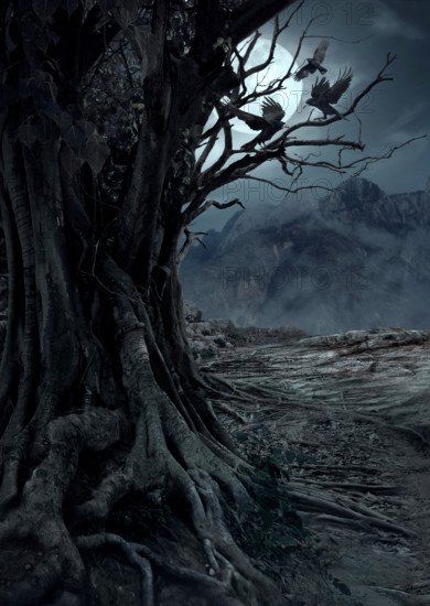 Scary dead tree, night in the mysterious forest with moon light and three crows