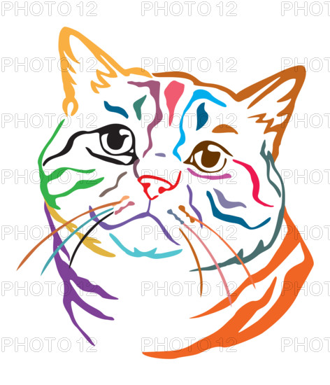 Colorful decorative portrait of British Cat, contour vector illustration in different colors isolated on white background. Image for design, cards and