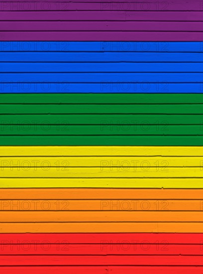 Wood board wall painted in rainbow flag colors. Abstract textured background. Gay pride and LGBT movement flag concept.